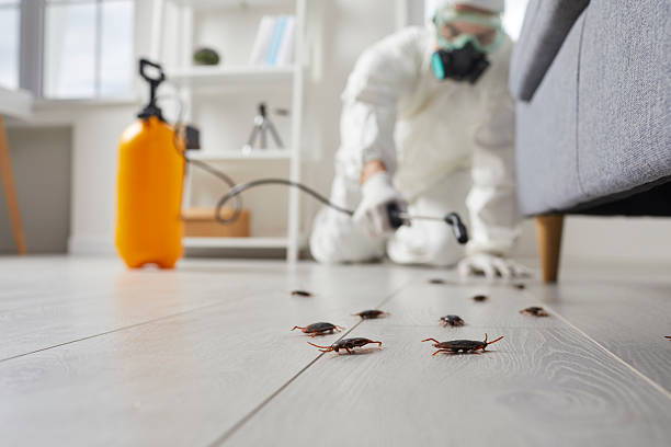 Trusted Rodent Control service in Pottsgrove, PA - Nex Pest Control